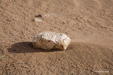 Great Sand Dunes National Park Stone in the Sand